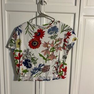 Zara Multicolor Floral Crop Top